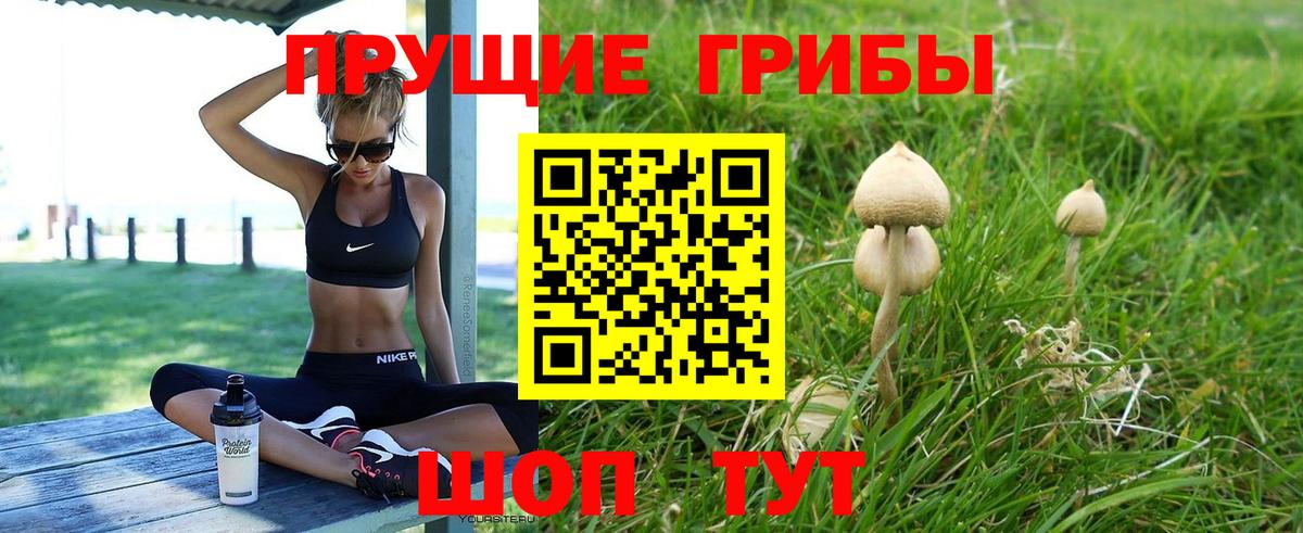 Галлюциногенные грибы GOLDEN TEACHER Сибай