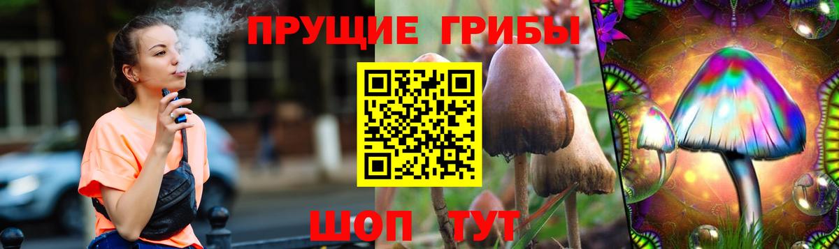 Сибай  Галлюциногенные грибы GOLDEN TEACHER  Галлюциногенные грибы Cubensis  Вход с VPN 